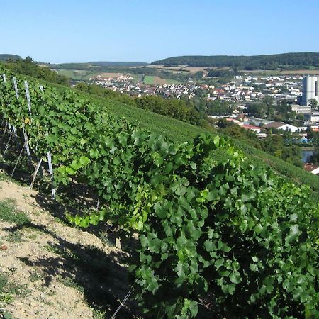 Отель Weinstube Schwalbennest Карлштадт Экстерьер фото