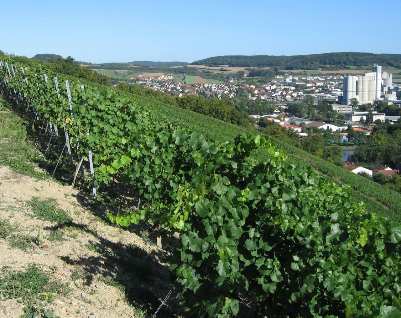 Отель Weinstube Schwalbennest Карлштадт Экстерьер фото